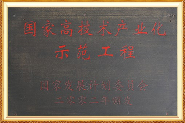 國家高技術產業化示范工程2002年